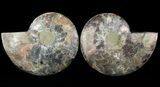 Cut/Polished Ammonite Pair - Agatized #47687-1